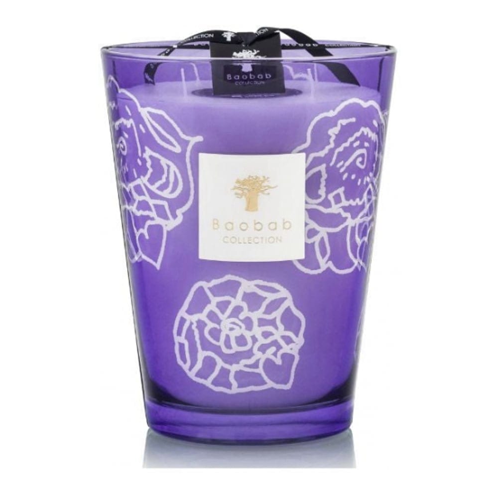 Baobab Collection - Bougie 'Collectible Roses Dark Parma Max 24' - 5.2 Kg